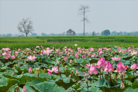 Hanoi: Vietnam Biggest Church or Trang An, Mua Cave & Hoa Lu Hanoi: Ninh Binh, Hoa Lu, Trang An, Mua Cave, Buffet & Cycle