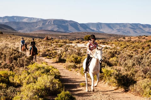 Africa on Horseback: Saddle up for a weekend of adventure