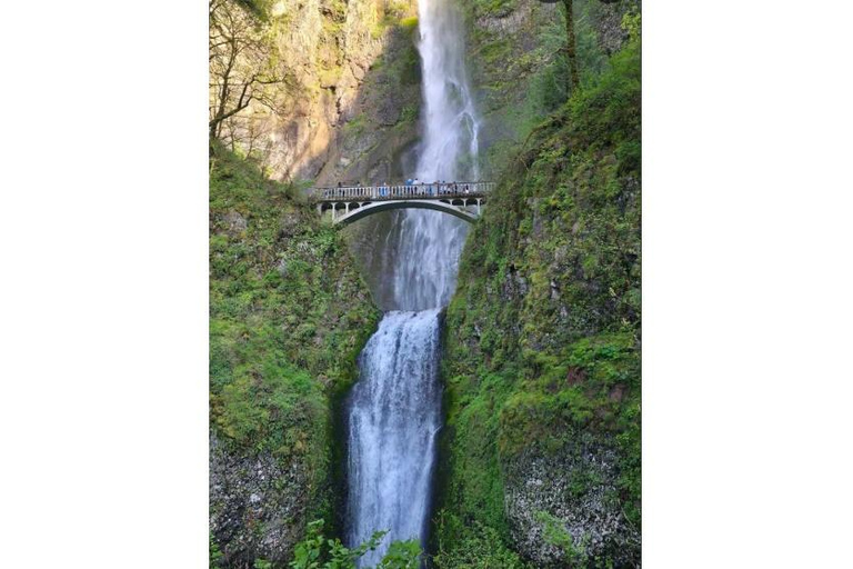 Portland: Columbia River Gorge Private Tour with Pickup