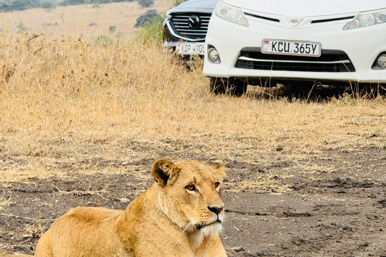 5 Hours Nairobi National Park Game Drive Tour in 4x4 Vehicle Private Guided Tour 4x4 Van