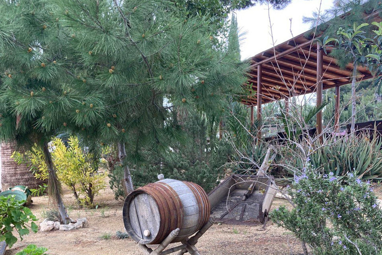 Z Alicante – najlepsza wycieczka po winnicy z degustacjąWycieczka po najlepszych winiarniach Alicante z degustacją