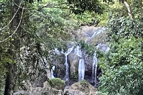 Tobago: Argyle Waterfall Tour with Hotel Pickup