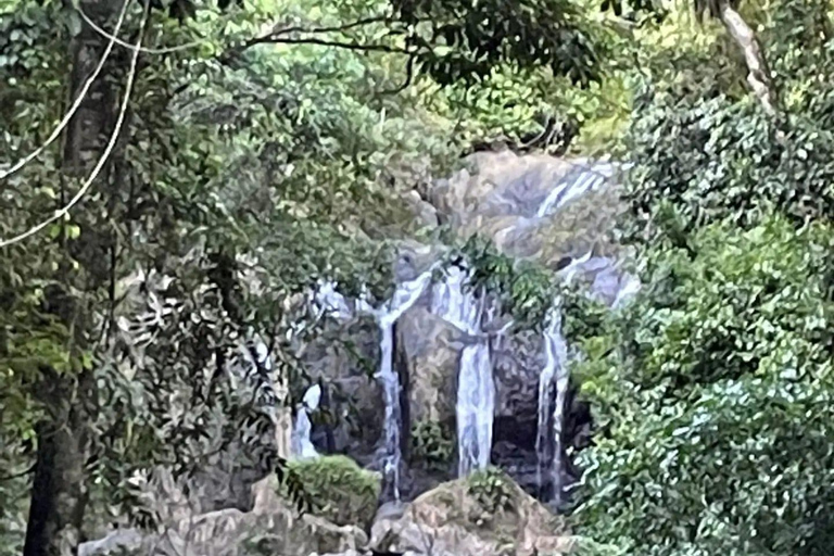 Tobago: Argyle Waterfall Tour with Hotel Pickup