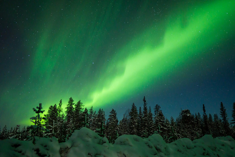 Rovaniemi: Aurora Hunting with 100% Refund. Small Group. Rovaniemi: Aurora Treasure Expedition & Refund (Standard)