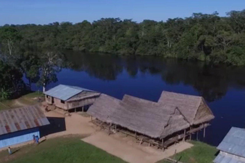 Full Day | Exploring the Amazon rainforest