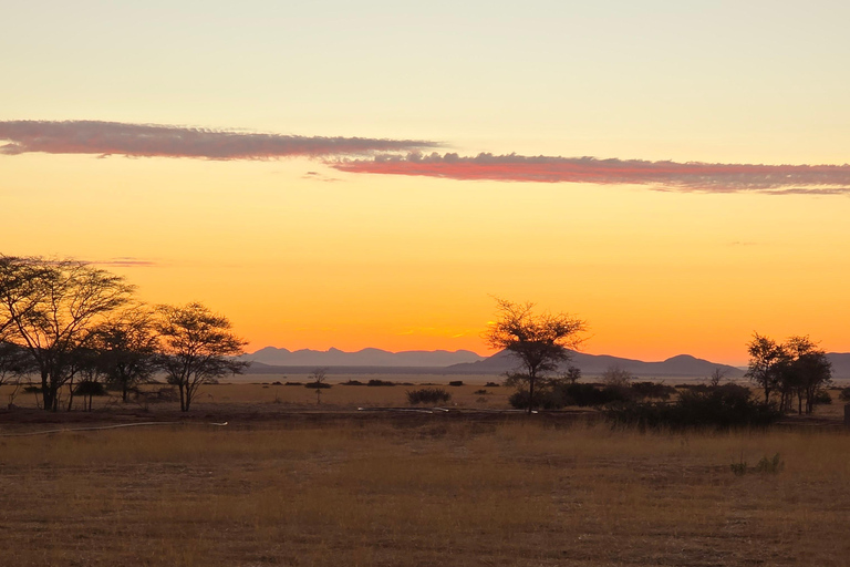 From Swakopmund: 2-Day Sossusvlei Scenic Journey (1 Night)