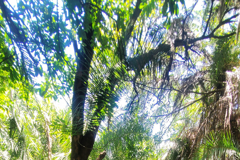 Wonderful Materuni waterfalls and Chemka hotspring Day trip