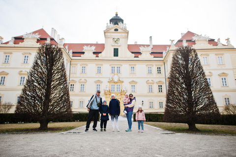 Wien, Österrike: Österrikiska Alperna, Hallstatt och Salzburg Guidad tur