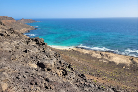 Sal Island Turtle Watch Tour w naturalnym środowisku