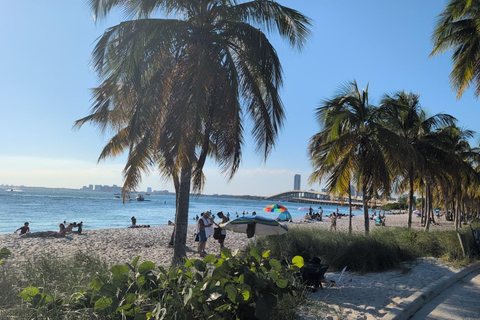 Miami: City Tour with Little Havana & Wynwood Stops