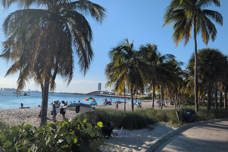 Miami: City Tour with Little Havana & Wynwood Stops