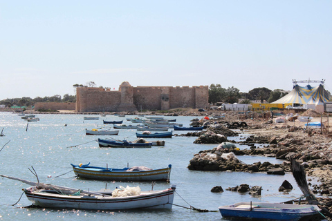 From Zarzis: Djerba Culture and Heritage Day Trip with Lunch