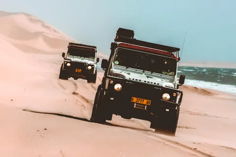 Walvis Bay: Crucero con delfines, lagos rosas y paseo en 4x4 por las dunas
