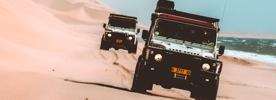 Walvis Bay : Croisière pour les dauphins, lacs roses et promenade en 4x4 dans les dunes