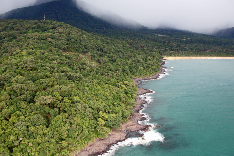 Cairns: Daintree Rainforest & Cape Tribulation Minibus Tour Cairns CBD Hotel Pickup