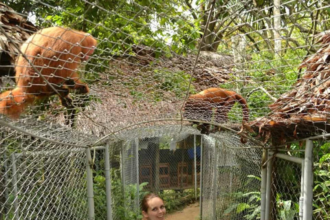 Ursprungsbefolkningens samhällen i Amazonasregionen Iquitos