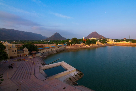 Jaipur: 8-daagse erfgoedtour door Rajasthan met vervoerJaipur: 8-daagse Rajasthan Heritage Tour met transfers