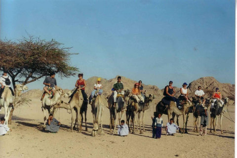 Sharm El Sheikh: Quad Bike Safari with Bedouin Tea Afternoon quad with dinner & stargazing