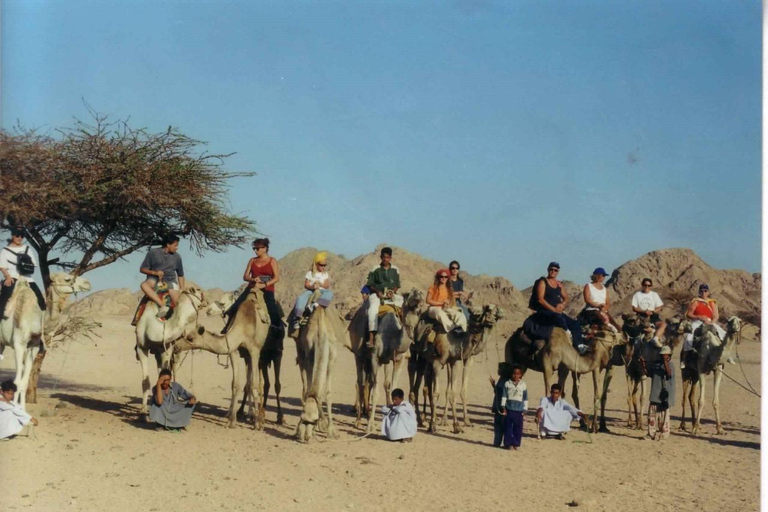 Sharm El Sheikh: Quad Bike Safari with Bedouin Tea Afternoon quad with dinner & stargazing