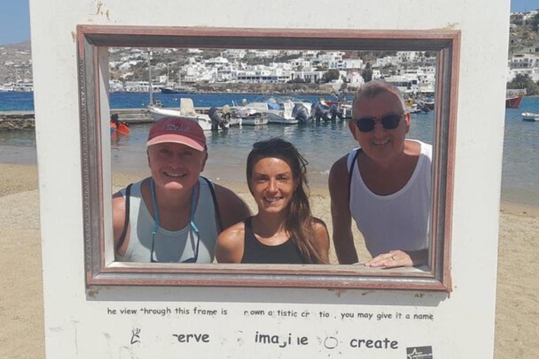 Mykonos en privé : les points forts : La ville, les plages du sud et le village