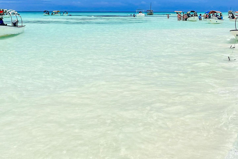Zanzibar: Mnemba Blue Safari i spotkanie z delfinamiMnemba: delfiny i rafa – wycieczka grupowa