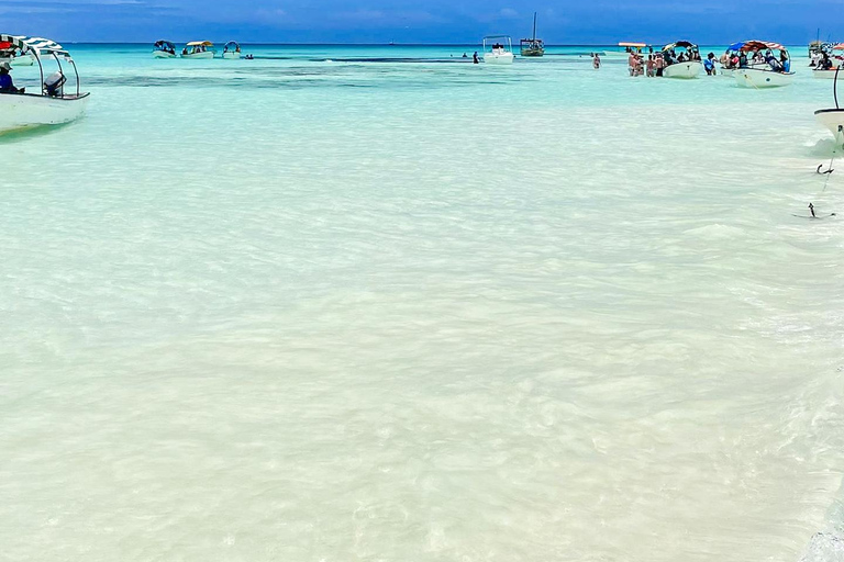 Zanzibar: Mnemba Blue Safari i spotkanie z delfinamiMnemba: delfiny i rafa – wycieczka grupowa