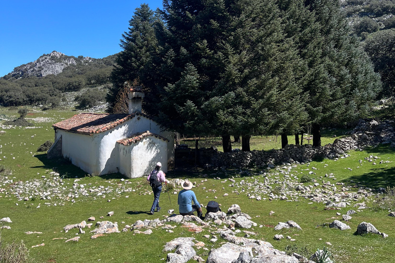 Ronda: Hiking with Local Guide
