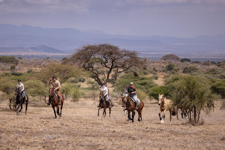 Paseo matinal a caballo en Dolly Estate: Vida salvaje y vistas panorámicas