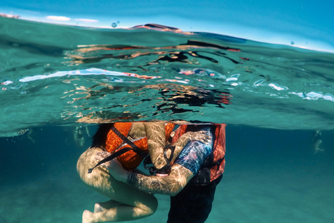 Ibiza: Formentera Boat Trip with Food, Drinks, & Bike Tour All- Inclusive Boat&Bike Tour in Formentera I Origin Edition