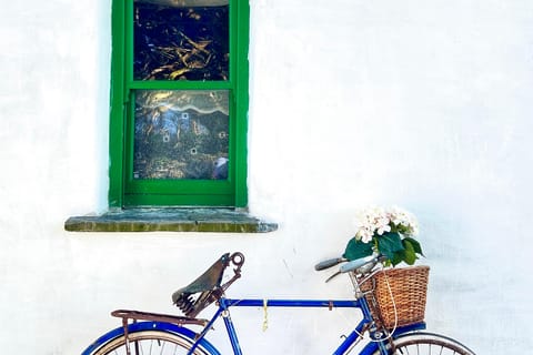 Killarney: Muckross Creamery Ice Cream & Skyr Tasting Tour - Image 2