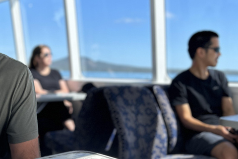 Auckland: Coromandel Peninsula Ferry and Bus Transfer 7:00pm One Way Coromandel to Auckland Ferry & Bus Transfer