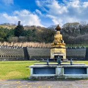 Jeju: Customized Shore Excursions For Up To 7 People