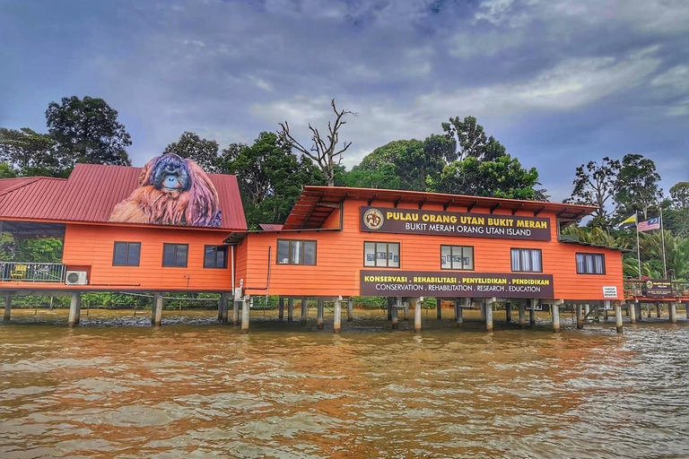 De Penang: Tour particular de um dia inspirador em Ipoh