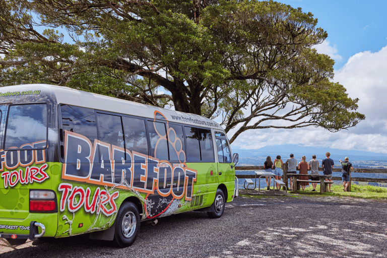 Au départ de Cairns : Eco-aventure et baignade dans les Tablelands d&#039;Atherton