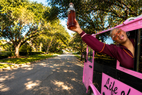 Houston: Karaoke Kart BYOB Tour with Bar Stop