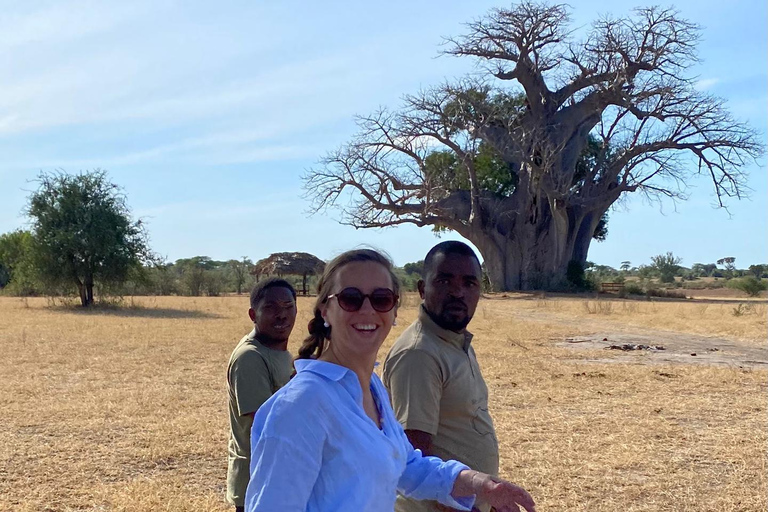 Kilimandjaro : 9 jours de trek sur la route Machame avec camping