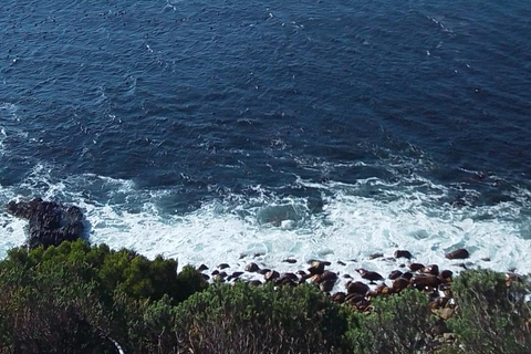 Cape Agulhas Southern Most Tip of the African continent Tour