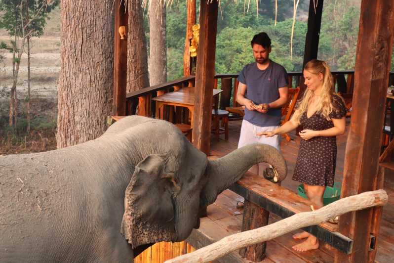 Chiang Mai: 2-Day Good Morning Elephant & Overnight Homestay