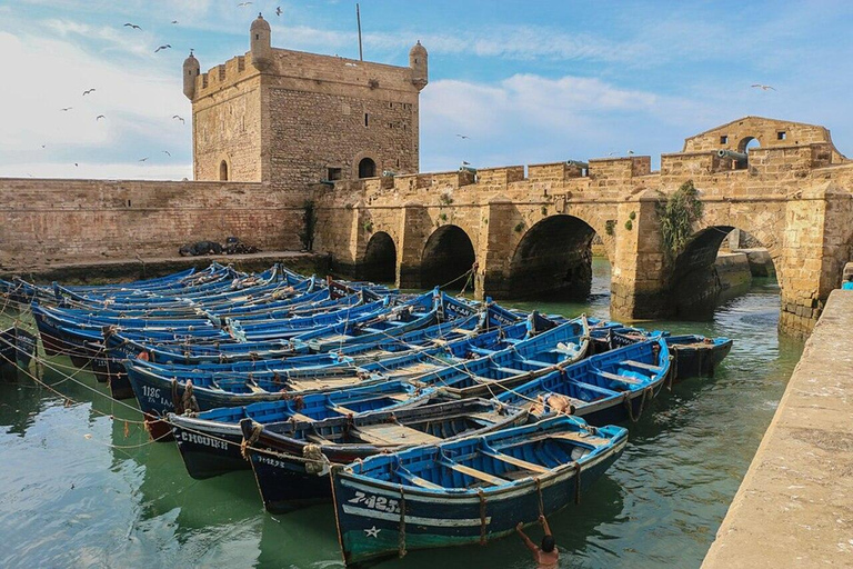 Essaouira Day Trip from Marrakech: Medina & Atlantic Coast Private Essaouira Day Trip