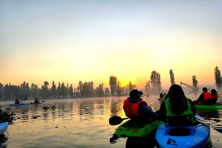 Xochimilco: Sunrise Kayaking, Breakfast and Axolotls Xochimilco: Sunrise Kayaking, Breakfast, and Axolotls