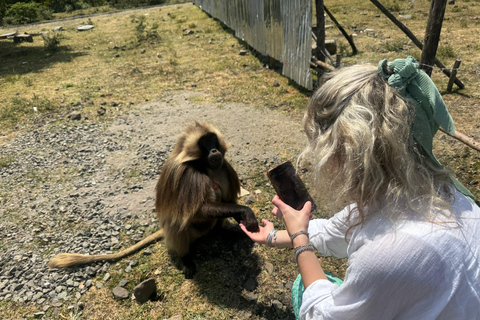 Addis Abeba: Töpferwaren, Markt und Kaffee-Tour mit MittagessenAddis Abeba: Töpfer-, Markt- und Kaffeetour mit Mittagessen
