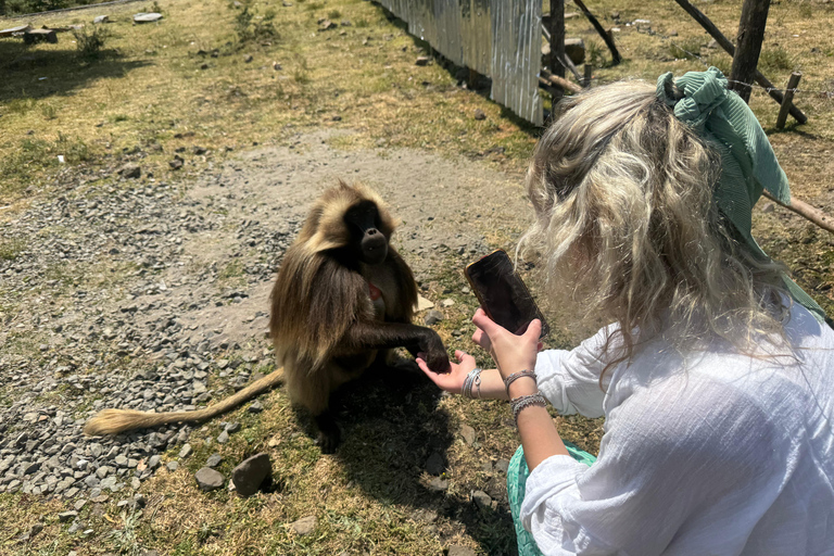 Addis Abeba: Töpferwaren, Markt und Kaffee-Tour mit MittagessenAddis Abeba: Töpfer-, Markt- und Kaffeetour mit Mittagessen