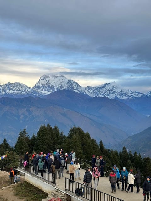 Annapurna Base Camp Trek Via Poon Hill Fra Pokhara Getyourguide