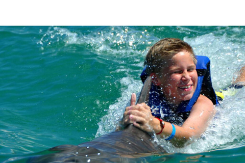 Punta Cana: Dolphin Swim with Bonus Sea Lion Show