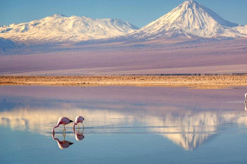 SAN PEDRO DE ATACAMA - UYUNI - SAN PEDRO DE ATACAMA