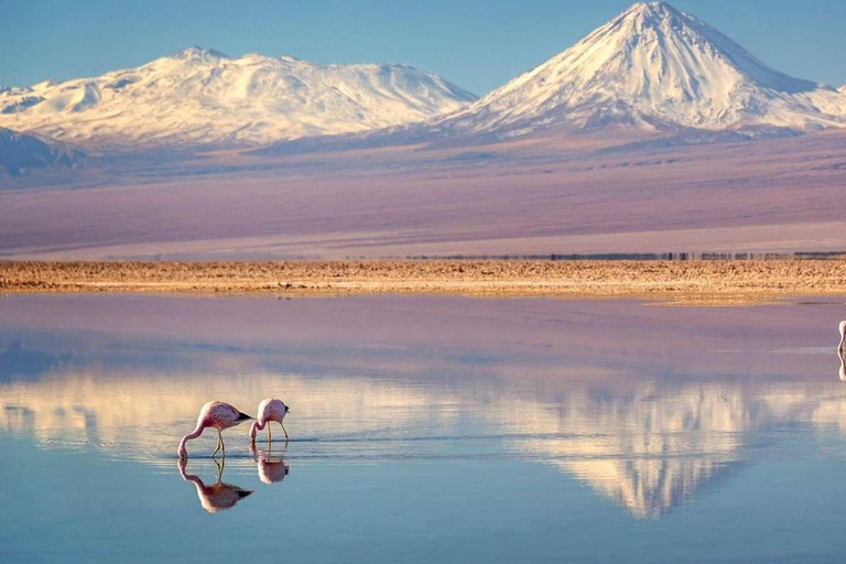 SAN PEDRO DE ATACAMA- UYUNI- SAN PEDRO DE ATACAMA