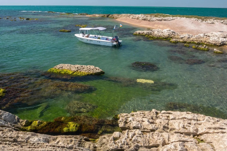 Baku: Snorkeling Tour at Gurgan Lighthouse