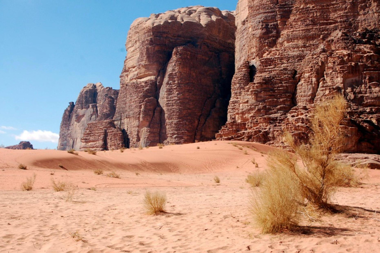 Wadi Rum: 4x4 Full day Tour with Bedouin Guide and Sunset