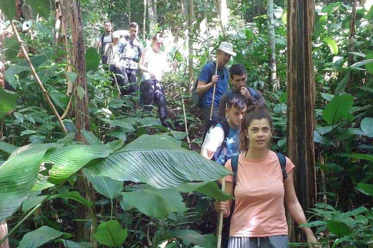 From Chiang Mai: Doi Saket Hiking Tour with Lunch