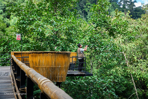 Chiang Mai : Aventure en tyrolienne avec quad en optionPack B : Parcours complet de zipline (avec transfert)